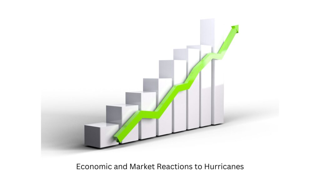 How to Invest in Anticipation of Hurricane Season